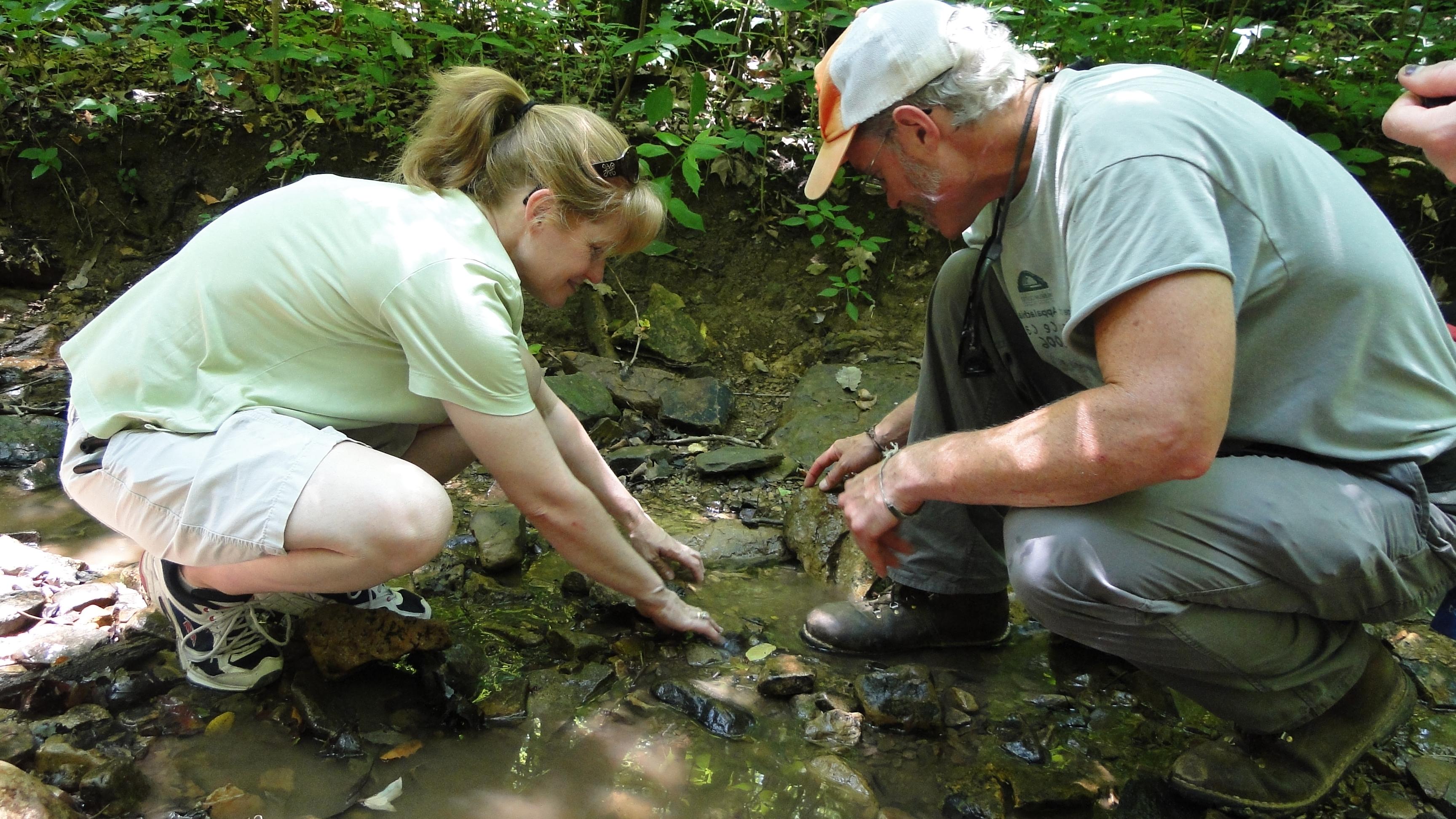 photo from the Richard & Lucile Durrell Edge of Appalachia Preserve System